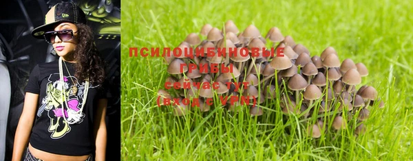 марки nbome Алзамай