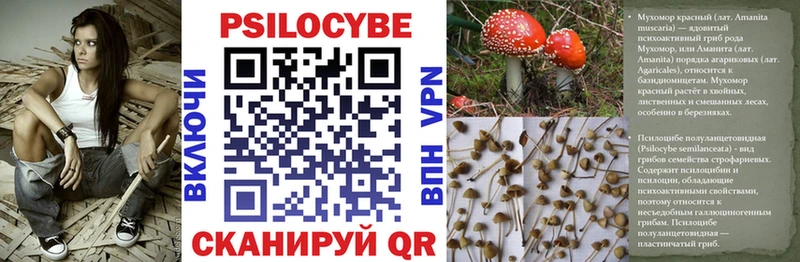 Галлюциногенные грибы Cubensis  Липки 